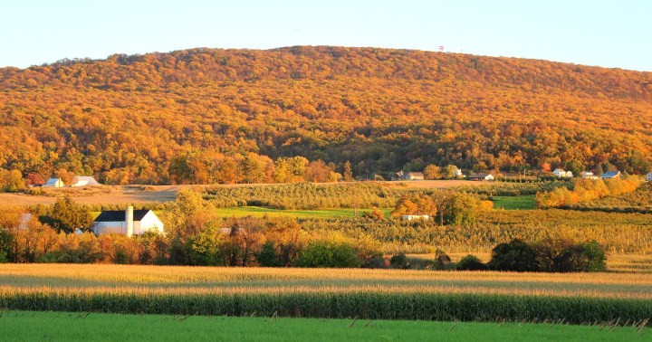 15612949096_94ca818052_o